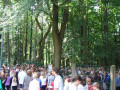 2008 Sommer